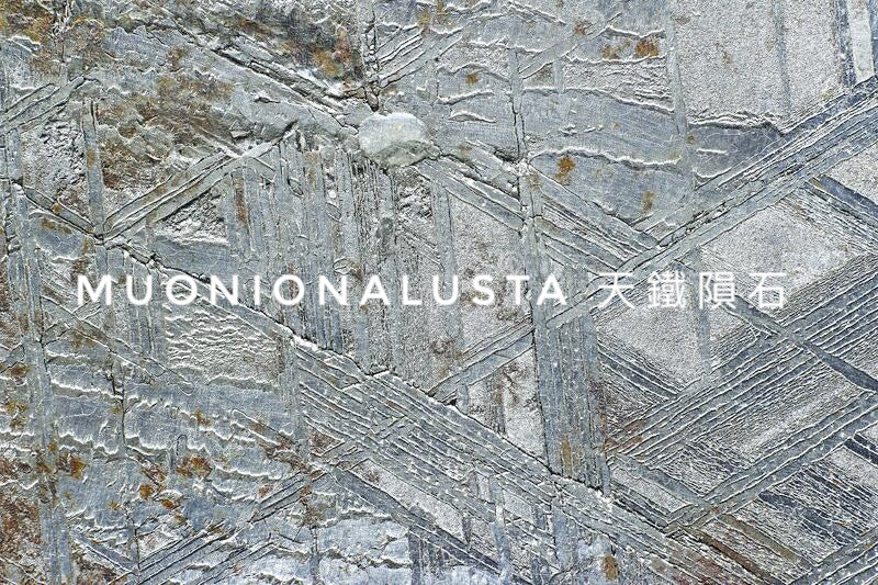 Muonionalusta 天鐵隕石