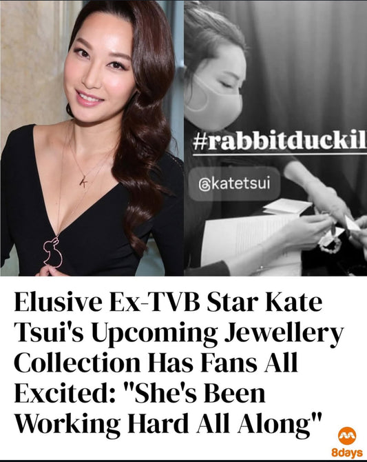 X KT RABBIT DUCK ILLUSION 2 | 兔鴨錯覺